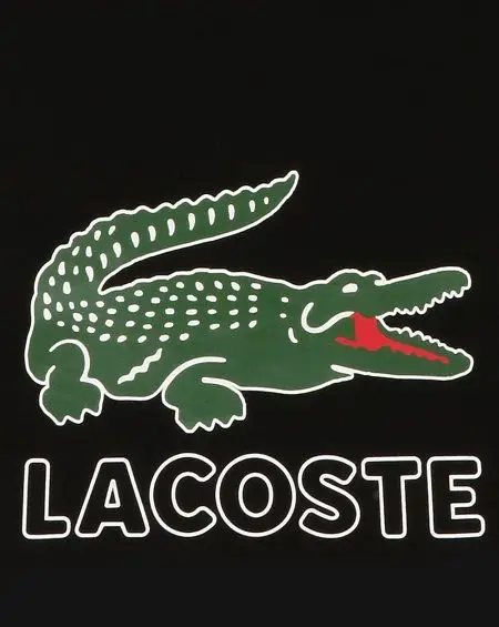 Lacoste is ook een populair zwembroek merk, maar de meeste mensen kennen het van de polo's.